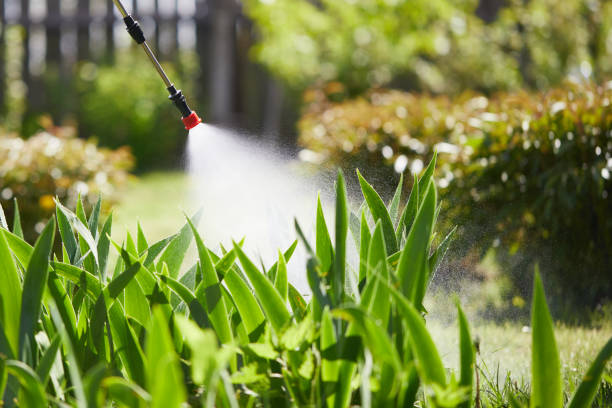 24/7 Emergency Wasp Removal experts in St. Paul, VA