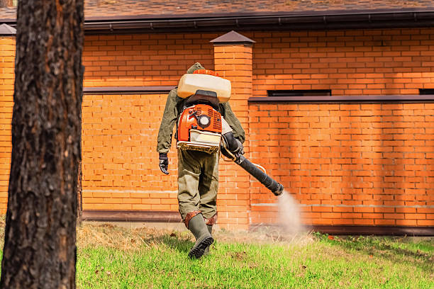 Top rated local Wasp Removal specialists in St. Paul, VA